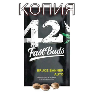 Bruce Banner Авто