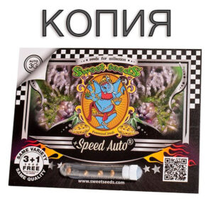 +Speed Авто