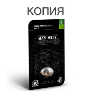 Amnesia XXL Авто