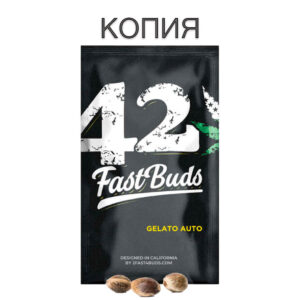 Gelato Авто