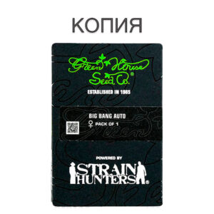 Big Bang Авто