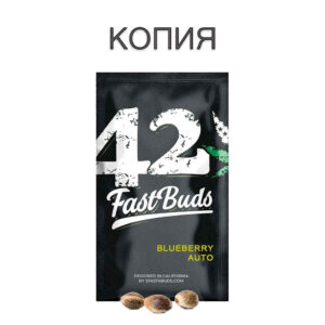Blueberry Авто