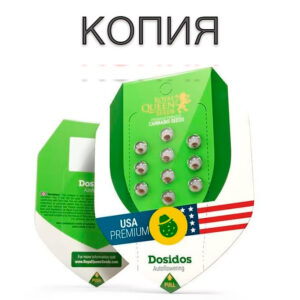 Do-Si-Dos Авто