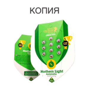 Northern Lights Авто