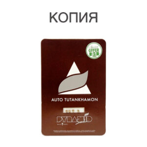 Tutankhamon Авто