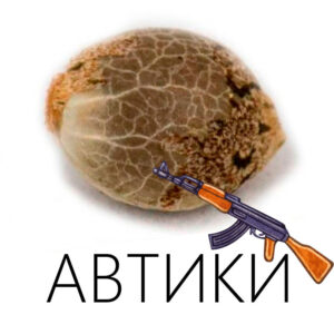Автоцветущие
