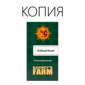 Critical Kush Авто