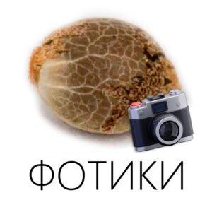 Фотопериодные