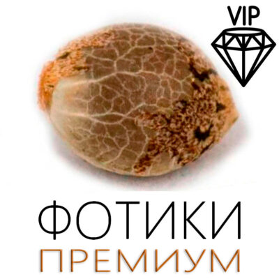 Фотопериодные VIP