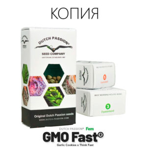 GMO Fast Фото