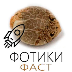 Фотики Фаст (Ранники)
