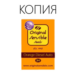 Orange Diesel Авто