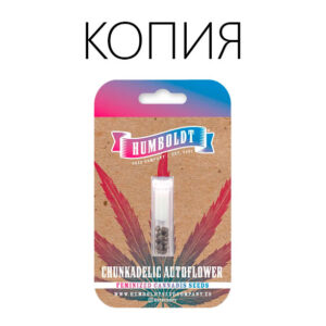 Chunkadelic Авто