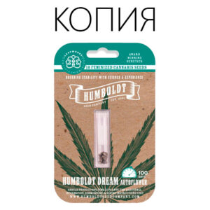 Humboldt Dream Авто