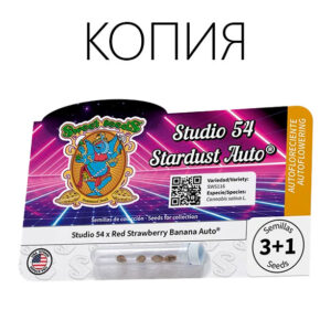 Studio 54 Stardust Авто
