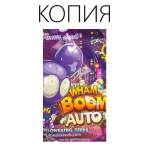 Wham Boom Авто