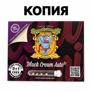 Black Cream Авто