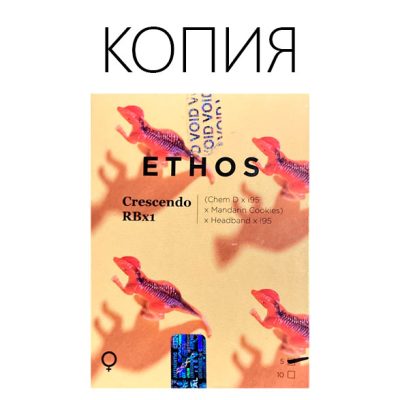 Crescendo RBX1 Фото (Ethos)