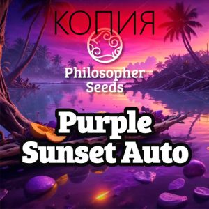 Purple Sunset Авто