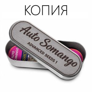 Somango Авто