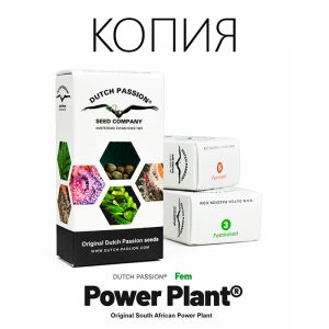 Power Plant Фото