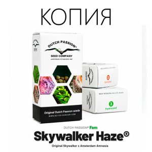 Skywalker Haze Фото